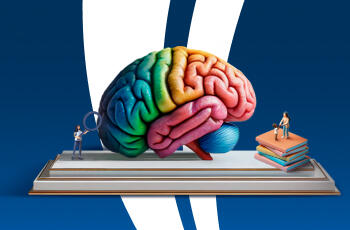 Maestría en neuroeducación e inclusión